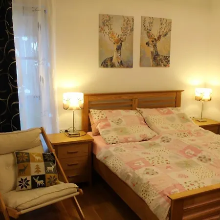 Apartament Johanna 1 Rauris